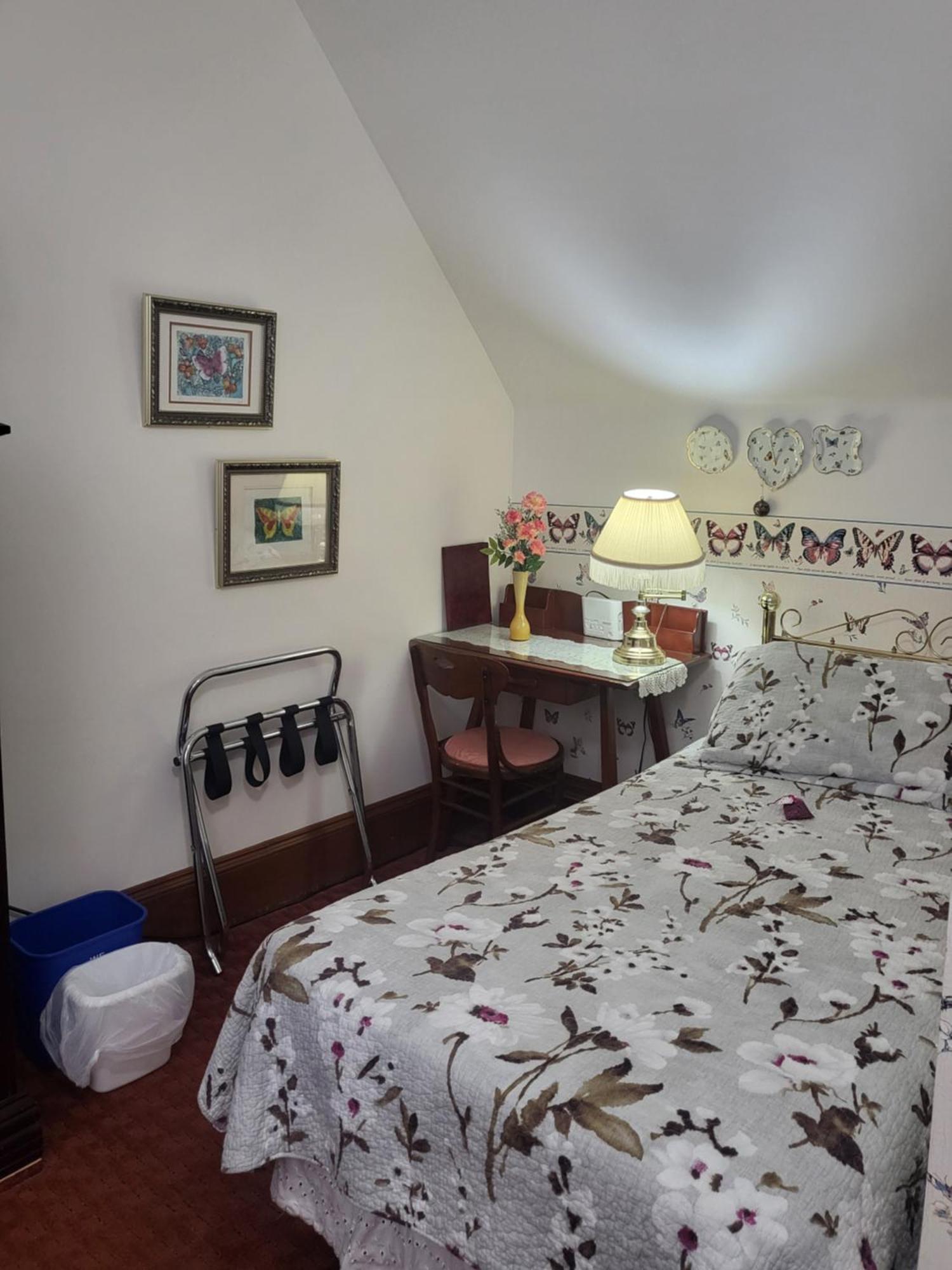 Cranberry Cove Inn Louisbourg Buitenkant foto